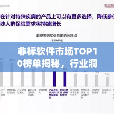 非標(biāo)軟件市場TOP10榜單揭秘，行業(yè)洞察與市場概覽