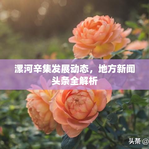 漯河辛集發(fā)展動態(tài)，地方新聞頭條全解析