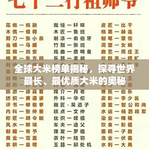 全球大米榜單揭秘，探尋世界最長、最優(yōu)質(zhì)大米的奧秘