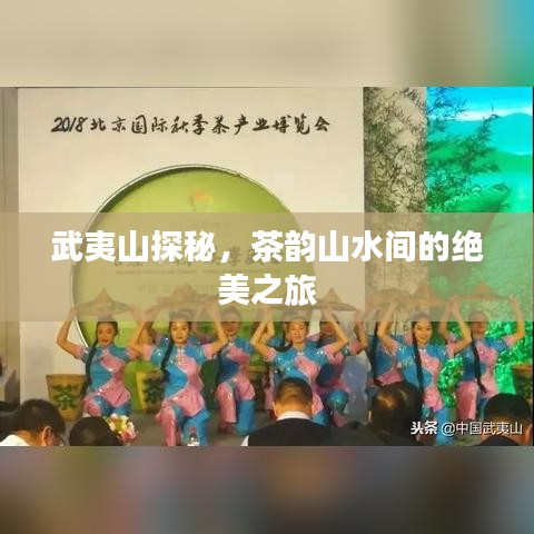 武夷山探秘，茶韻山水間的絕美之旅