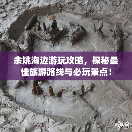 余姚海邊游玩攻略，探秘最佳旅游路線與必玩景點(diǎn)！