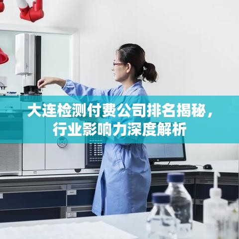 大連檢測(cè)付費(fèi)公司排名揭秘，行業(yè)影響力深度解析