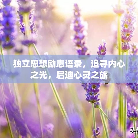 獨(dú)立思想勵(lì)志語(yǔ)錄，追尋內(nèi)心之光，啟迪心靈之旅