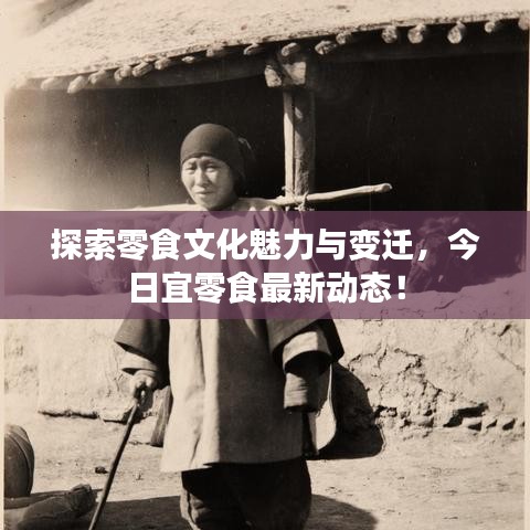 探索零食文化魅力與變遷，今日宜零食最新動態(tài)！