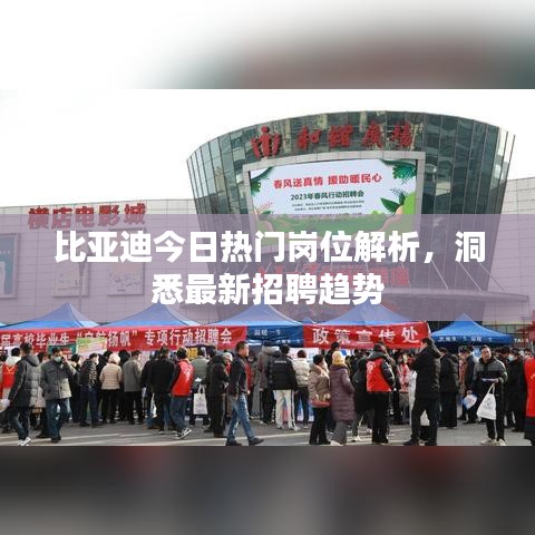 比亞迪今日熱門(mén)崗位解析，洞悉最新招聘趨勢(shì)