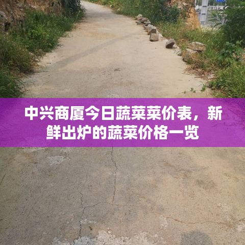 中興商廈今日蔬菜菜價(jià)表，新鮮出爐的蔬菜價(jià)格一覽