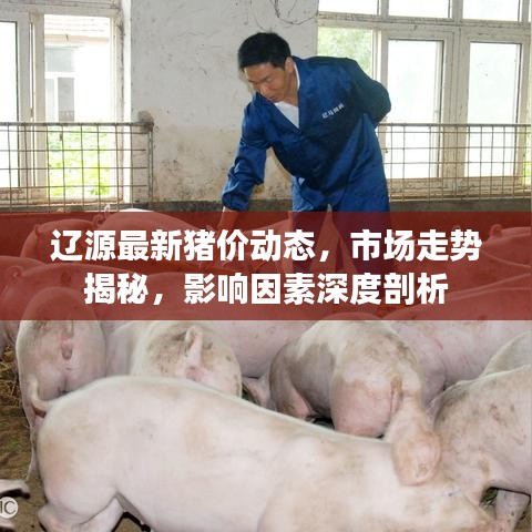 遼源最新豬價(jià)動(dòng)態(tài)，市場(chǎng)走勢(shì)揭秘，影響因素深度剖析
