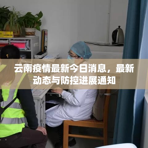 云南疫情最新今日消息，最新動態(tài)與防控進展通知