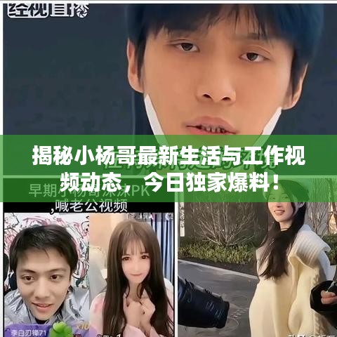 揭秘小楊哥最新生活與工作視頻動態(tài)，今日獨家爆料！