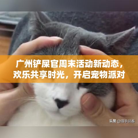 廣州鏟屎官周末活動新動態(tài)，歡樂共享時光，開啟寵物派對之門