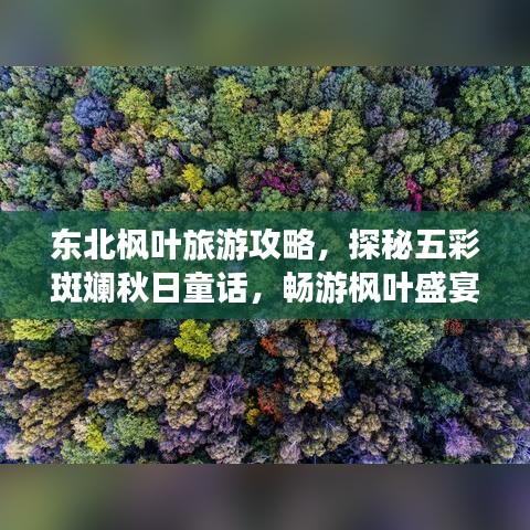 東北楓葉旅游攻略，探秘五彩斑斕秋日童話，暢游楓葉盛宴