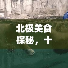 北極美食探秘，十大特色食物榜單，感受極地美食的魅力