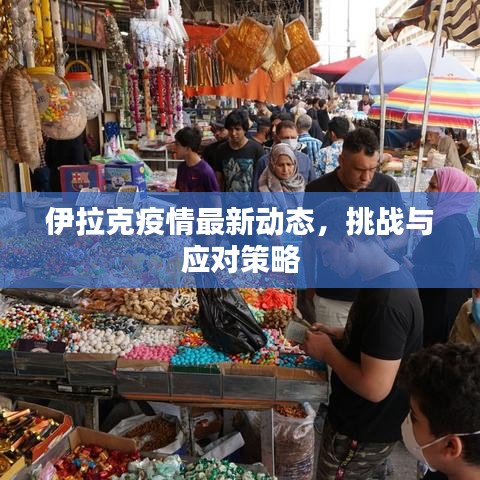伊拉克疫情最新動(dòng)態(tài)，挑戰(zhàn)與應(yīng)對(duì)策略