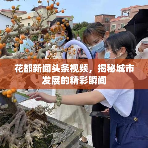 花都新聞?lì)^條視頻，揭秘城市發(fā)展的精彩瞬間