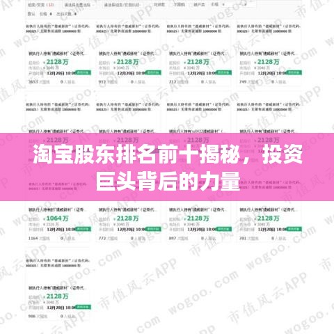 淘寶股東排名前十揭秘，投資巨頭背后的力量