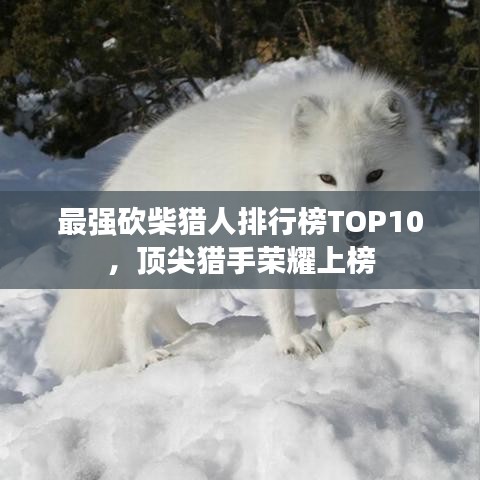 最強(qiáng)砍柴獵人排行榜TOP10，頂尖獵手榮耀上榜