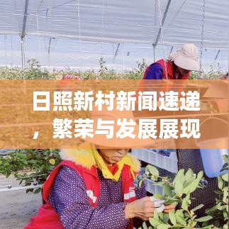 日照新村新聞速遞，繁榮與發(fā)展展現(xiàn)新面貌