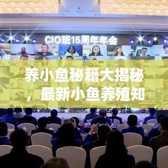 養(yǎng)小魚秘籍大揭秘，最新小魚養(yǎng)殖知識與技巧視頻分享