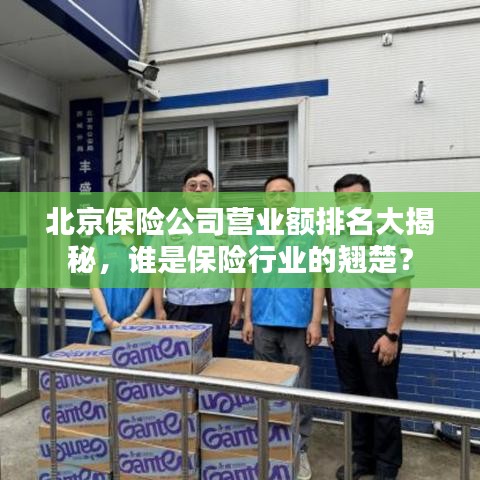 北京保險公司營業(yè)額排名大揭秘，誰是保險行業(yè)的翹楚？