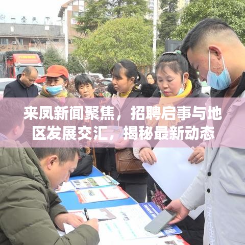 來(lái)鳳新聞聚焦，招聘啟事與地區(qū)發(fā)展交匯，揭秘最新動(dòng)態(tài)