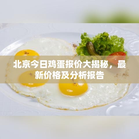 北京今日雞蛋報價大揭秘，最新價格及分析報告