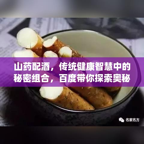 山藥配酒，傳統(tǒng)健康智慧中的秘密組合，百度帶你探索奧秘！