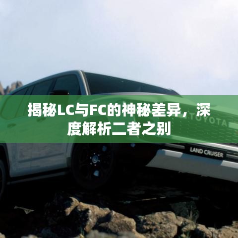 揭秘LC與FC的神秘差異，深度解析二者之別