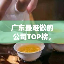 廣東最難做的公司TOP榜，挑戰(zhàn)與深度探究
