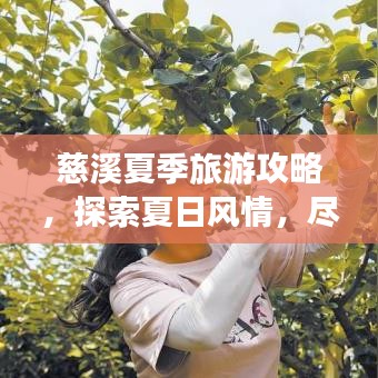 慈溪夏季旅游攻略，探索夏日風(fēng)情，盡享美麗景色