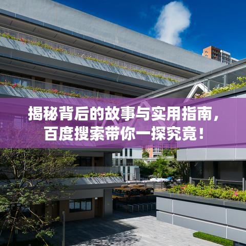 揭秘背后的故事與實用指南，百度搜索帶你一探究竟！