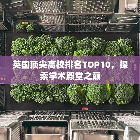 英國頂尖高校排名TOP10，探索學術(shù)殿堂之巔