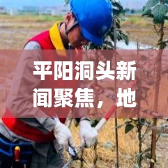 平陽洞頭新聞聚焦，地區(qū)發(fā)展新動態(tài)的深度探索