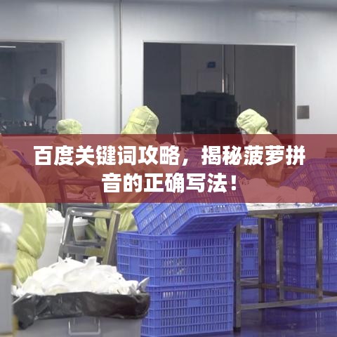 百度關(guān)鍵詞攻略，揭秘菠蘿拼音的正確寫法！