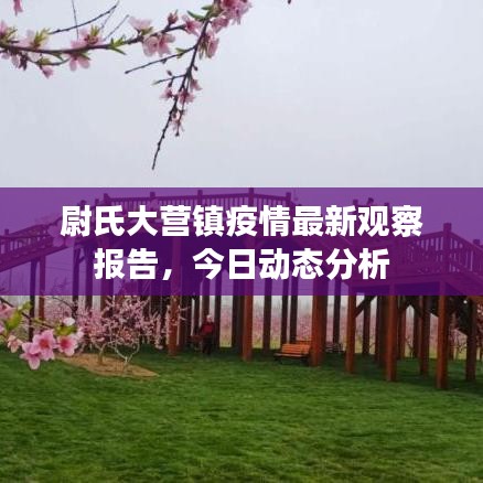 尉氏大營鎮(zhèn)疫情最新觀察報告，今日動態(tài)分析