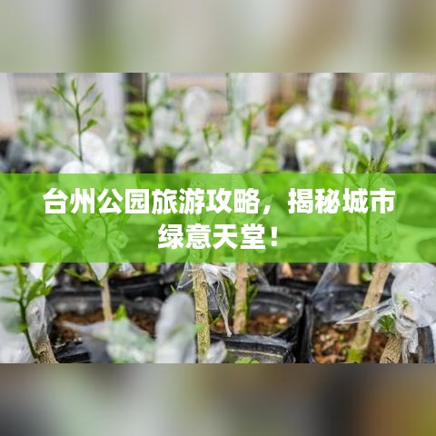臺(tái)州公園旅游攻略，揭秘城市綠意天堂！