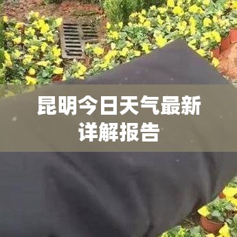 昆明今日天氣最新詳解報告