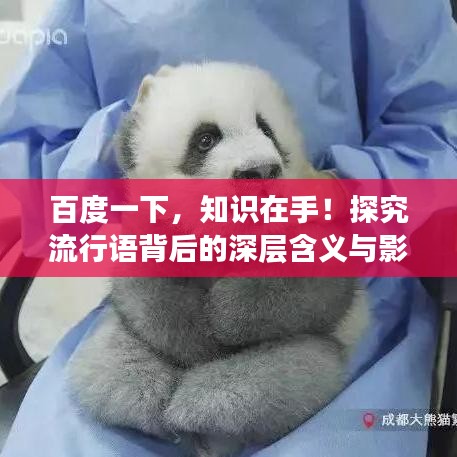 百度一下，知識在手！探究流行語背后的深層含義與影響力