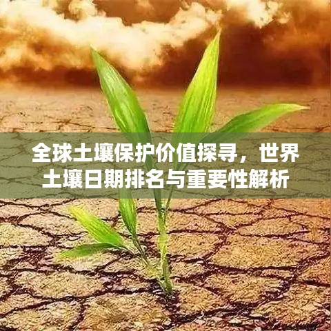 全球土壤保護(hù)價(jià)值探尋，世界土壤日期排名與重要性解析