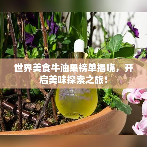 世界美食牛油果榜單揭曉，開(kāi)啟美味探索之旅！