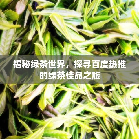 揭秘綠茶世界，探尋百度熱推的綠茶佳品之旅