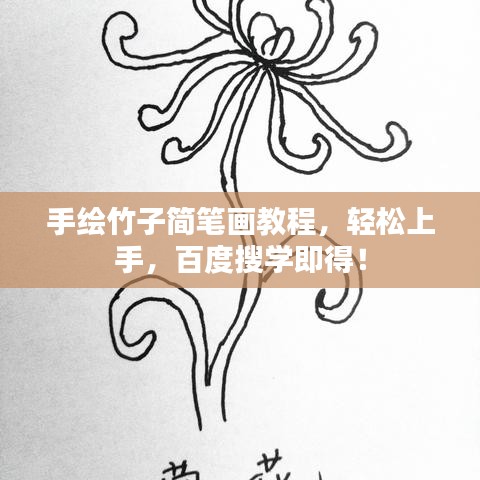 手繪竹子簡筆畫教程，輕松上手，百度搜學(xué)即得！