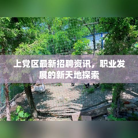 上黨區(qū)最新招聘資訊，職業(yè)發(fā)展的新天地探索