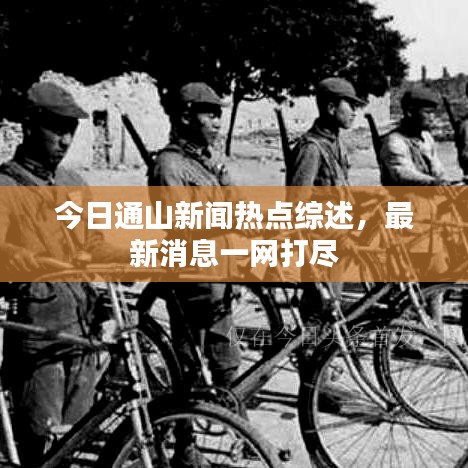 今日通山新聞熱點綜述，最新消息一網(wǎng)打盡