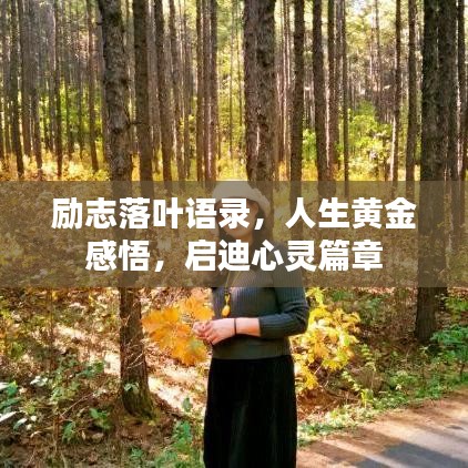 勵(lì)志落葉語錄，人生黃金感悟，啟迪心靈篇章