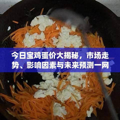 今日寶雞蛋價大揭秘，市場走勢、影響因素與未來預(yù)測一網(wǎng)打盡