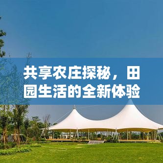 共享農(nóng)莊探秘，田園生活的全新體驗攻略