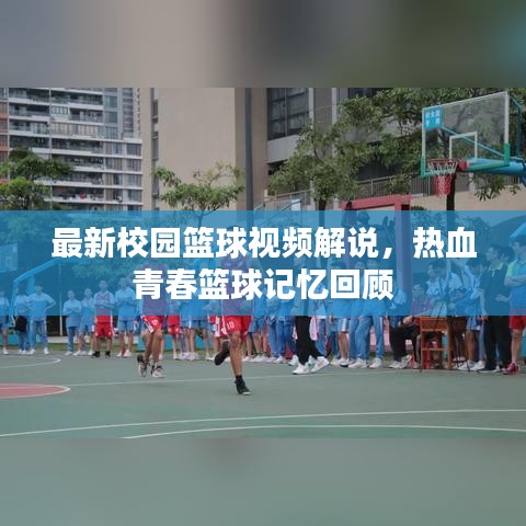 最新校園籃球視頻解說，熱血青春籃球記憶回顧