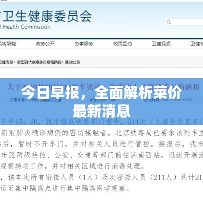 今日早報(bào)，全面解析菜價最新消息