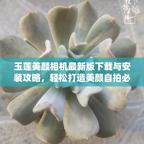 玉蓮美顏相機最新版下載與安裝攻略，輕松打造美顏自拍必備神器