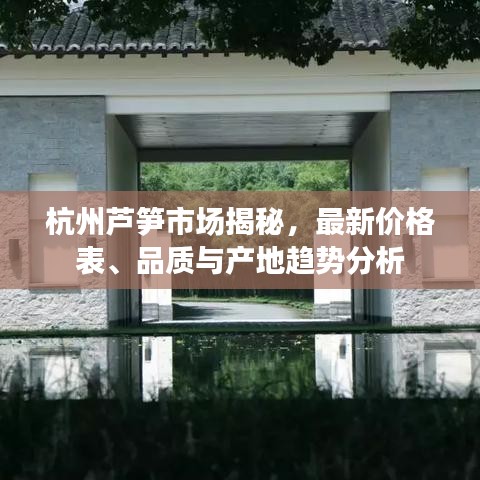 杭州蘆筍市場揭秘，最新價格表、品質(zhì)與產(chǎn)地趨勢分析